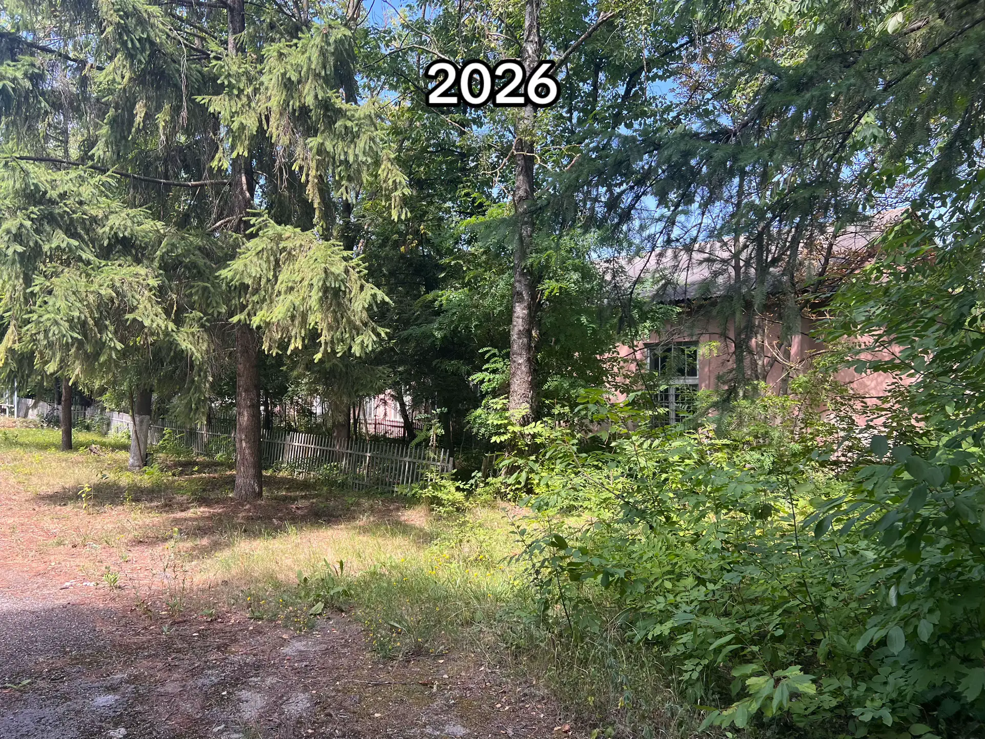 Image 8 of 14